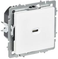 Розетка СП BRITE РЮ12-1-БрАБ USB C 65Вт высокоскор. заряд. арктич. бел. IEK BR-U13-065-K91