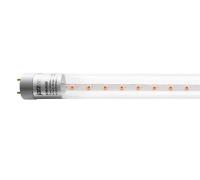 Лампа светодиодная PLED T8-600 PPG Agro 8Вт T8 линейная G13 CL для растений красн./син. спектр JazzWay 5025899