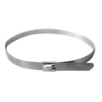 Хомут кабельный 8х600 нерж. сталь AISI 316 серебр. (уп.20шт) DKC 27616