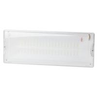 Светильник светодиодный DPA-301-0-65 IP65 40LED 3ч аварийный непостоянный Проектный Эра Б0044405