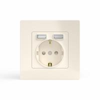 Розетка 1-м СП Pixel с заземл. с 2-мя заряд. устр. USB тип A+A механизм беж. TOKOV ELECTRIC TKE-PX-R1U2A-C02