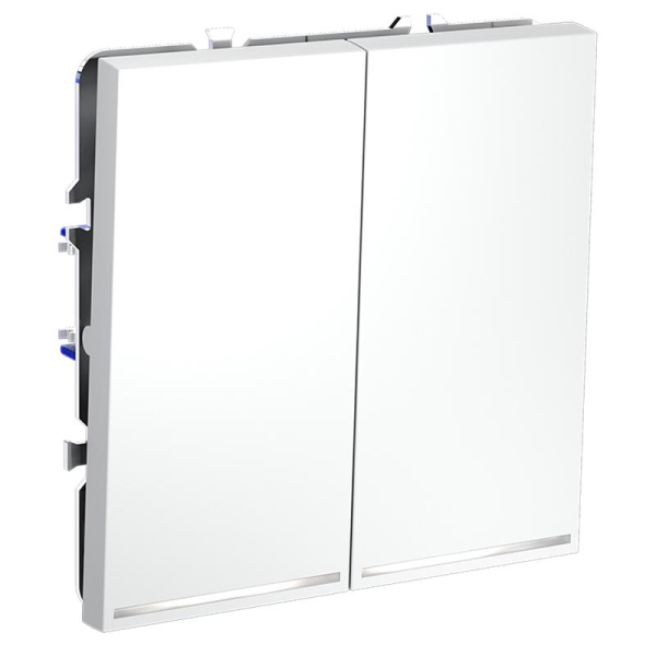 Выключатель 2-кл. СП S70 10А с подсветкой механизм бел. матов. Voltum VLS020202