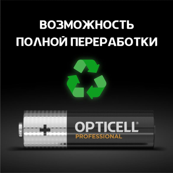 Элемент питания алкалиновый AA/LR6 (блист. 4шт) Professional Opticell 5052001/6052001