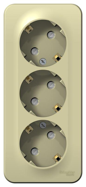 Розетка 3-м ОП Blanca 16А IP20 250В с заземл. защ. шторки с изолир. пластиной беж. SE BLNRA011317