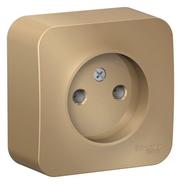 Розетка 1-м ОП Blanca 16А IP20 250В без заземл. без защ. шторок титан SE BLNRA000104