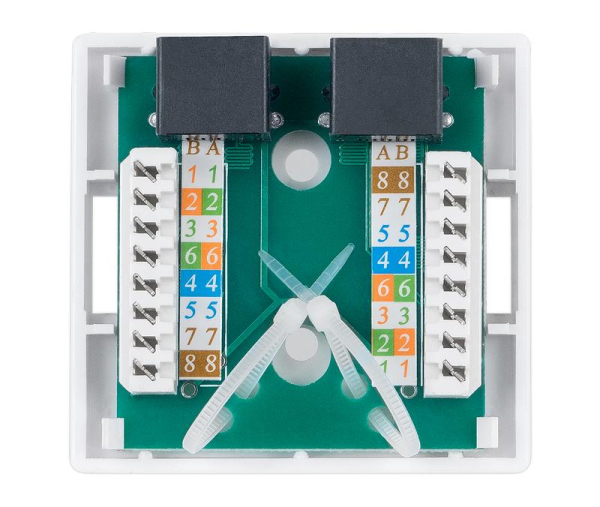 Розетка компьютерная 2-м ОП WS-8P8C-Cat.5e-2 RJ45 кат.5E Dual IDC Cabeus 7247c