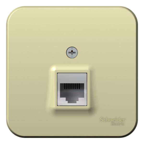 Розетка компьютерная 1-м ОП Blanca RJ45 кат.5E с изолир. пластиной беж. SE BLNIA045007