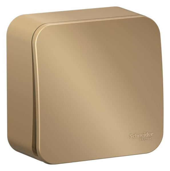 Выключатель 1-кл. ОП Blanca 10А IP20 (сх. 1) с самовозвратом с изолир. пластиной титан SE BLNCA101014