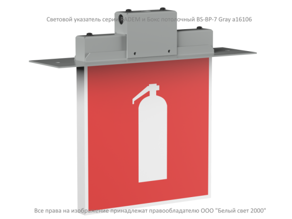 Указатель световой BS-RADEM-71-S1-INEXI2 Gray автономный Белый свет a15532