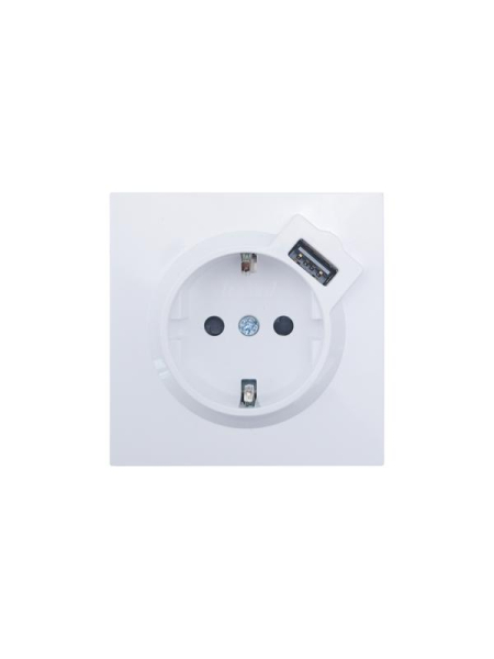 Розетка 1-м ZIMA IP20 + USB с заземл. механизм бел. LEZARD 704-0288-181