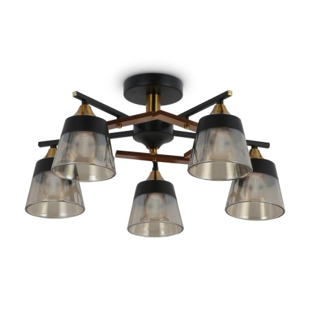 Люстра Buds 60Вт E27х5 IP20 Freya FR5153PL-05B