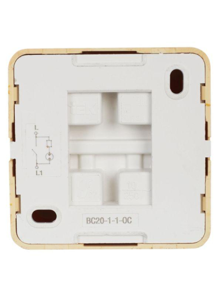 Выключатель 1-кл. ОП Октава 10А IP20 ВС20-1-1-ОС с индикацией сосна GENERICA EVO11-K03-10-DC